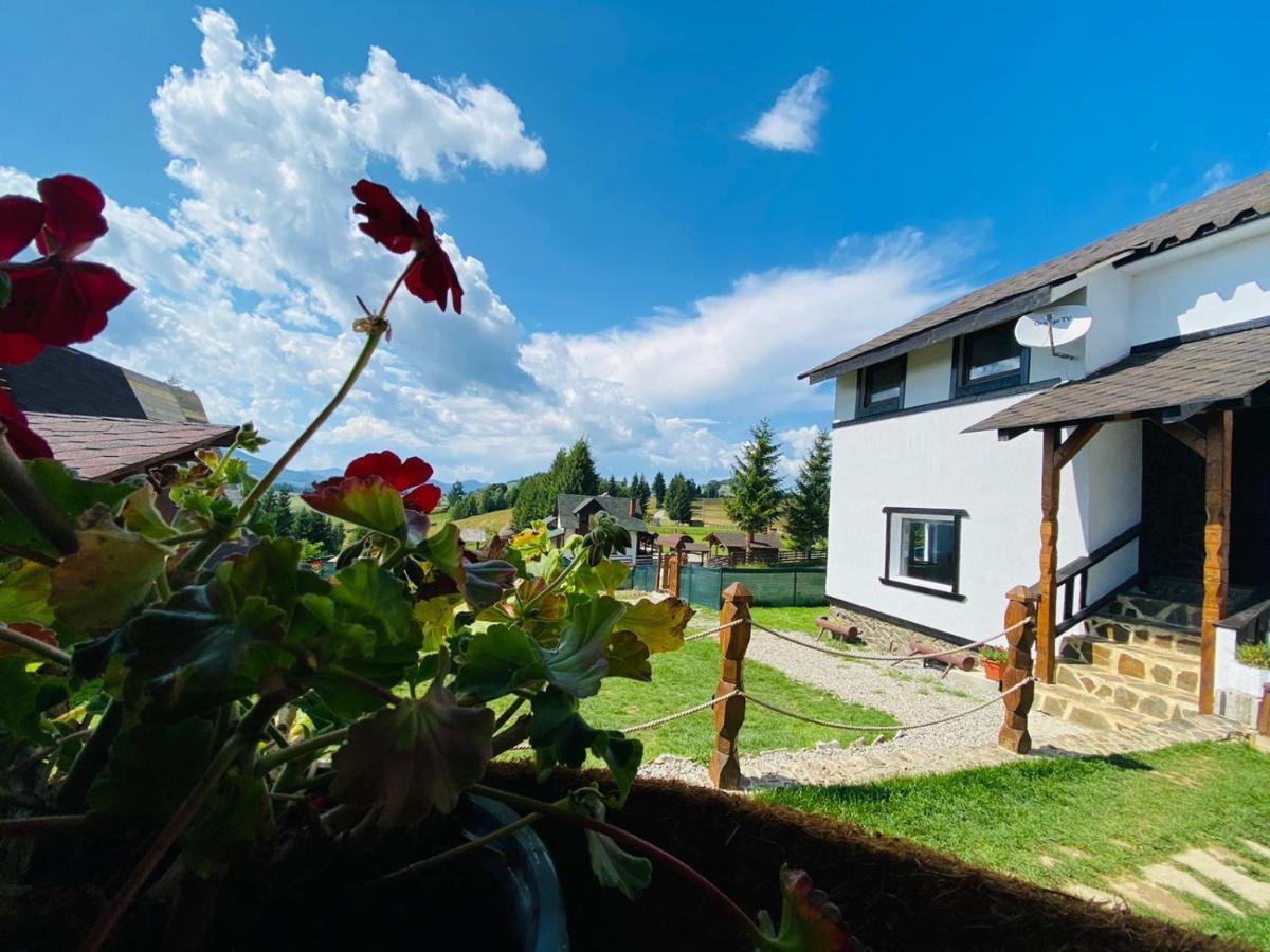Casa de vacanță Hera - Pasul Tihuța - Un colțișor de rai, Piatra Fantanele  – Updated 2023 Prices